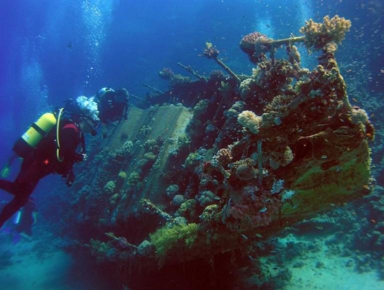 Незабываемые воспоминания под водой: дайвинг на Кубе и в Турции